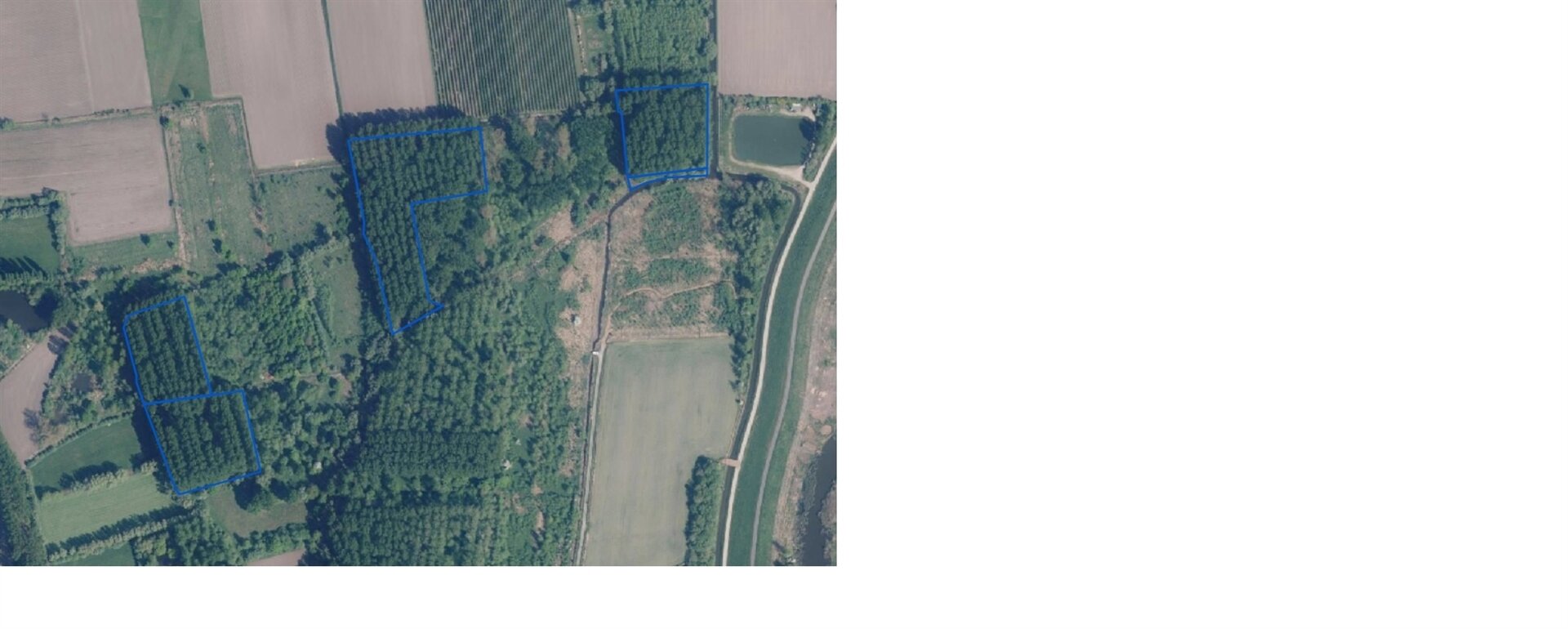 Bos te koop in HAMME