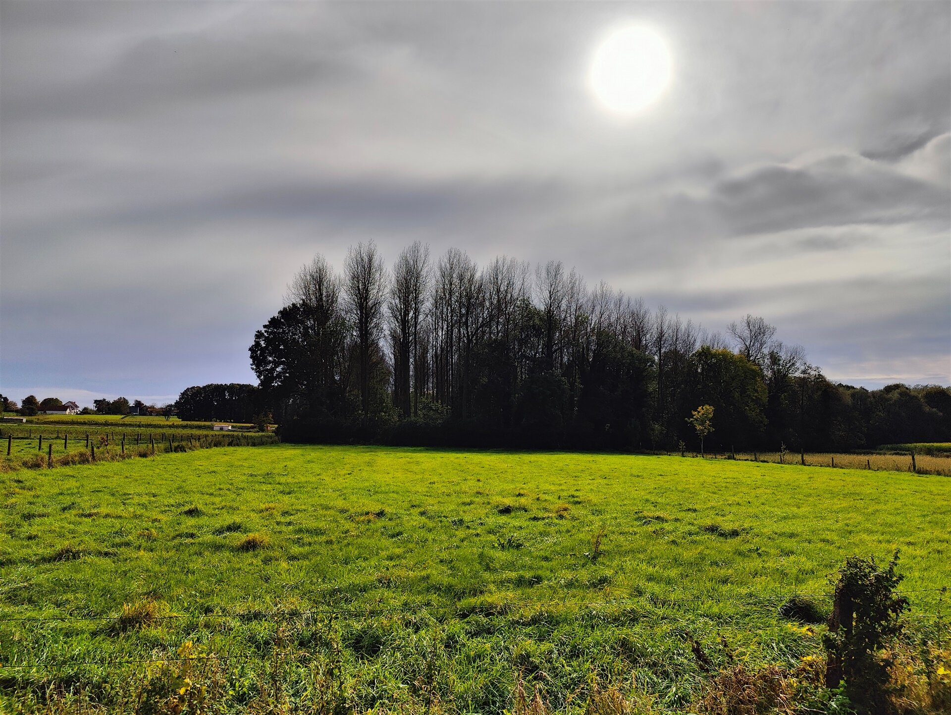 Bos te koop in OPWIJK