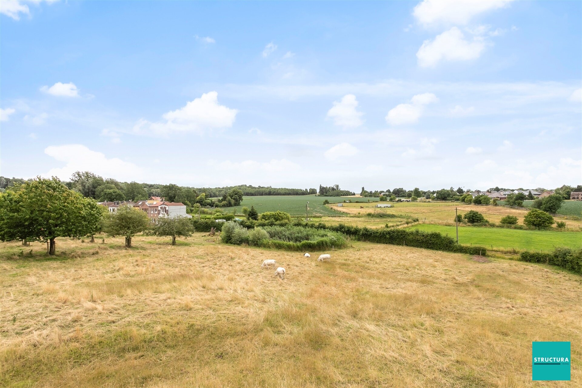 Ferme à vendre à WEMMEL