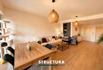 Appartement &agrave; louer &agrave; ASSE