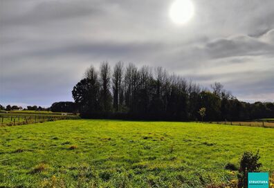 Bos te koop in OPWIJK
