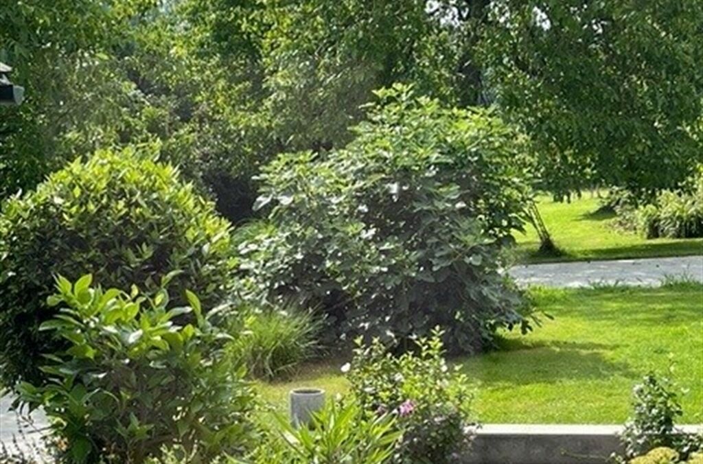 Appartement te koop in WEMMEL