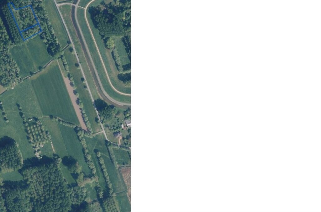 Bos te koop in DENDERMONDE