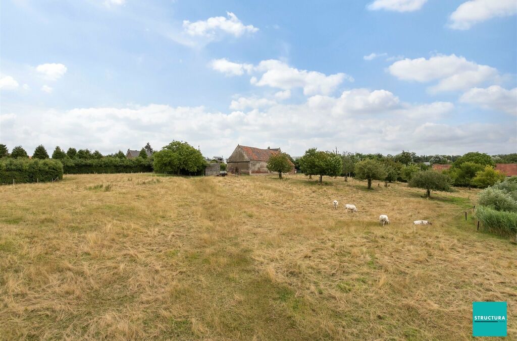 Ferme à vendre à WEMMEL