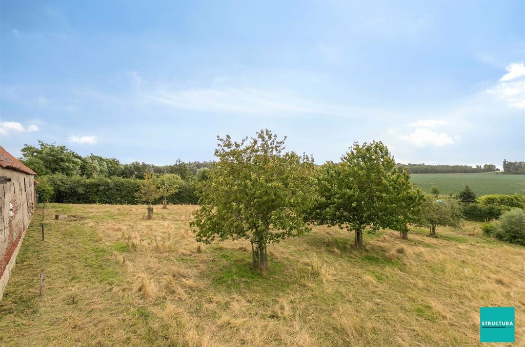 Ferme à vendre à WEMMEL