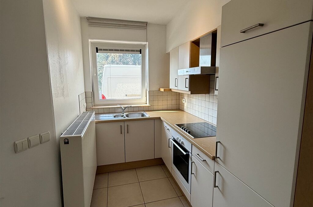 Handel-kantoor-opbrengst te huur in MEISE