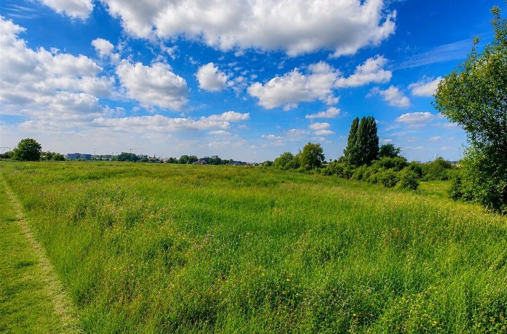 Landbouwgrond te koop in ASSE