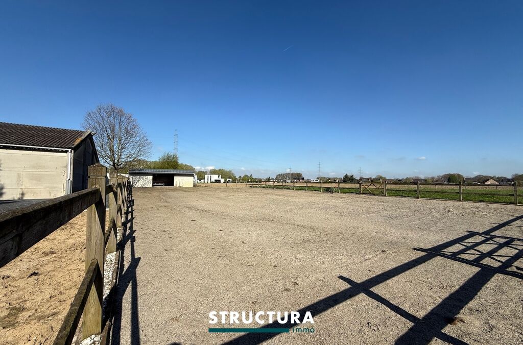 Woning te huur in MERCHTEM