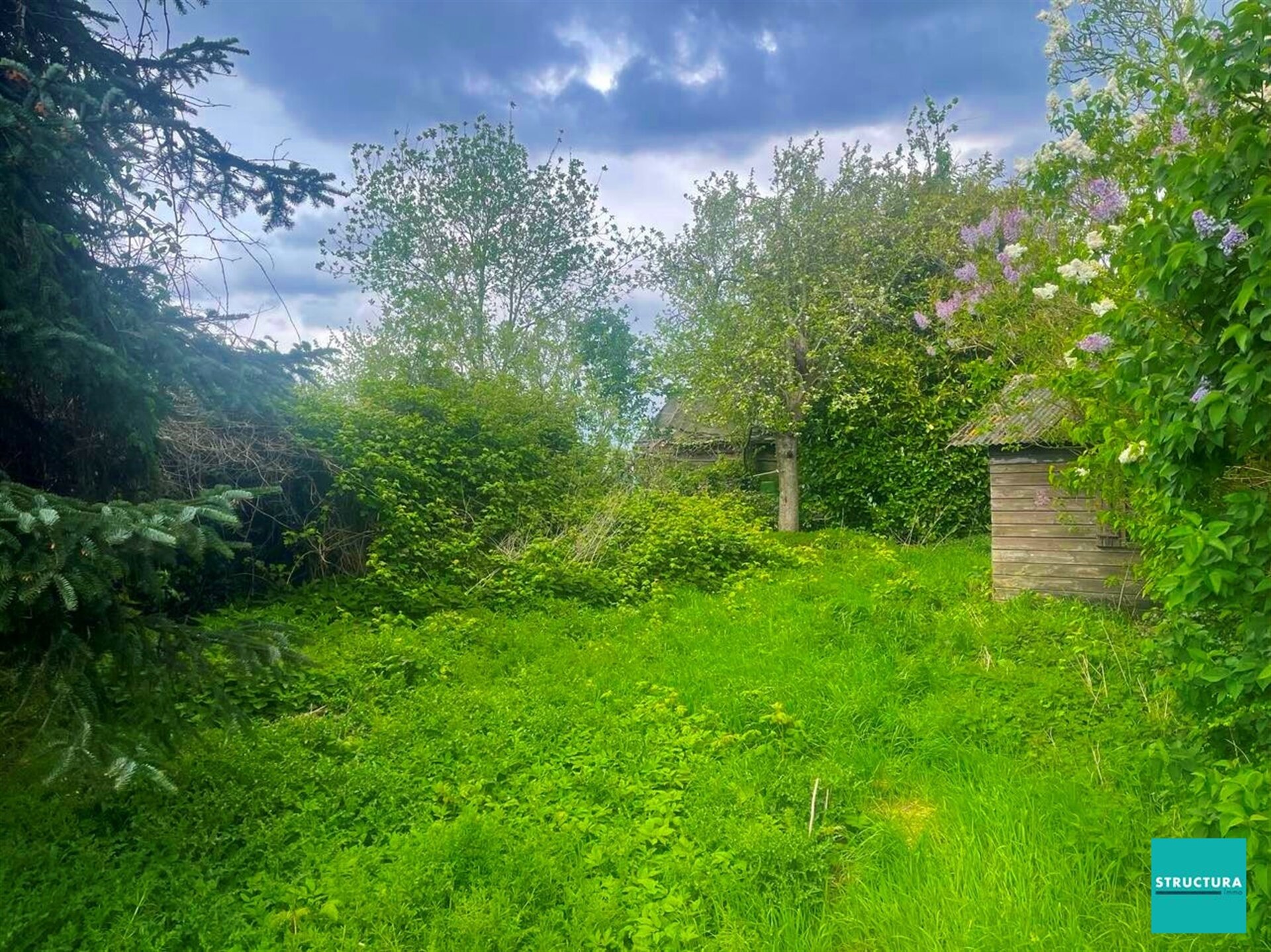 Terrain à bâtir à vendre à MERCHTEM